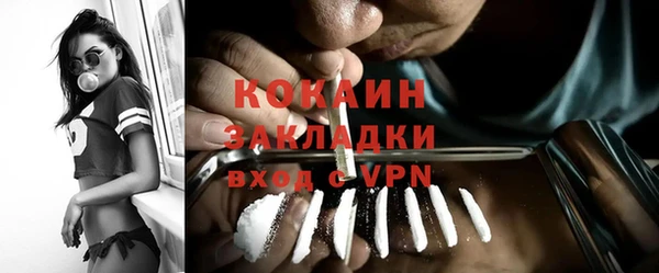 индика Алзамай