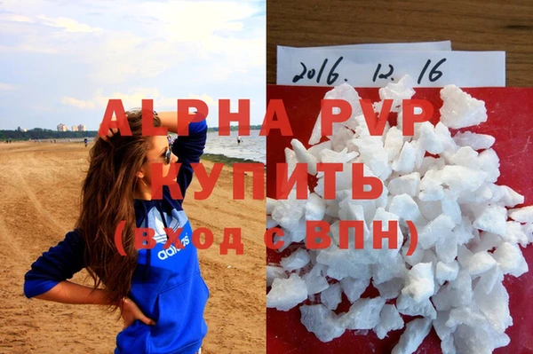 индика Алзамай